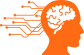 Mind Map Intelligence (MMI)